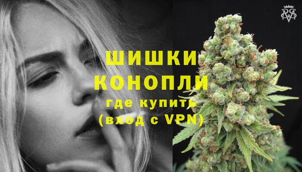 сатива Липки