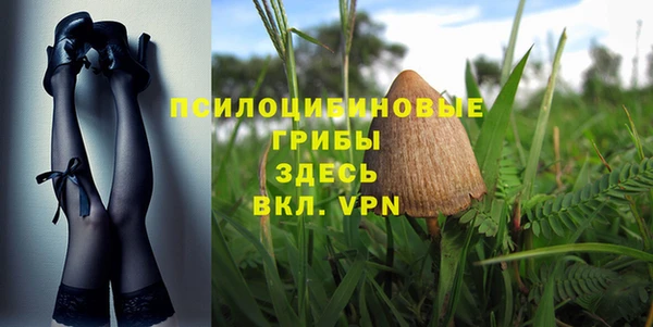 сатива Липки